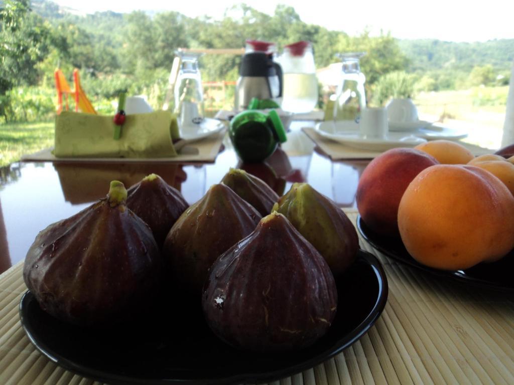 B&B Casa Vacanza Verzellino San Gregorio Magno Zewnętrze zdjęcie